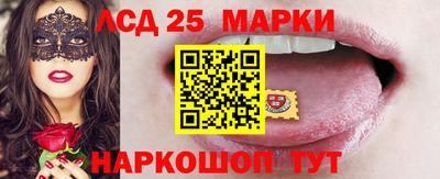 тгк Новозыбков