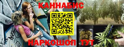 тгк Новозыбков