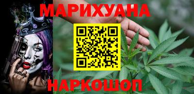 тгк Новозыбков